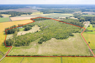 <b>Korsholm, sterhankmovgen 544</b><br />
Grd 24 ha, bondstuga, ekonomibyggnader, kermark, skog och tomt