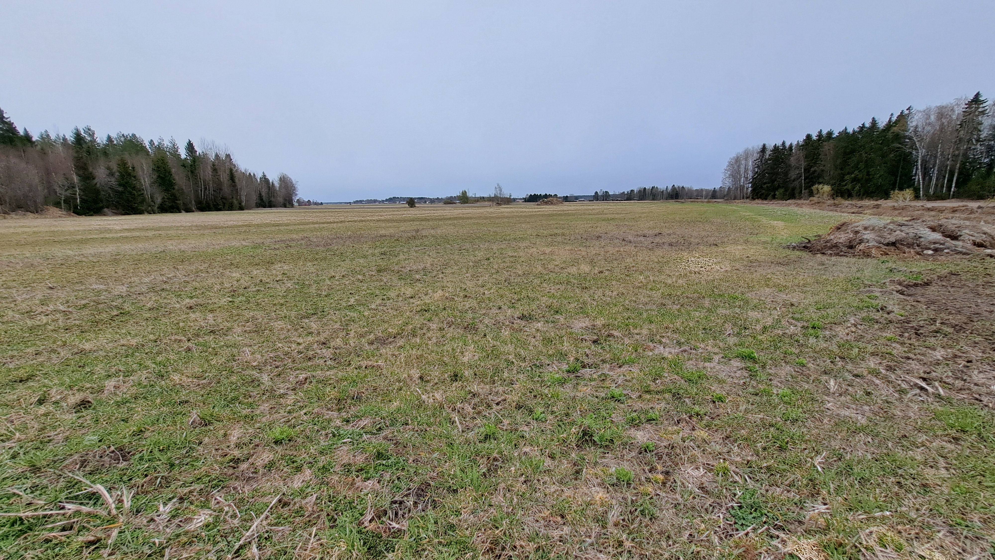 <b>Odlingsmark och skog, Vr</b> 3,15 ha ker, ca 11,4 ha skog. 8,66 ha skog p Kivine-vinds omrde. 