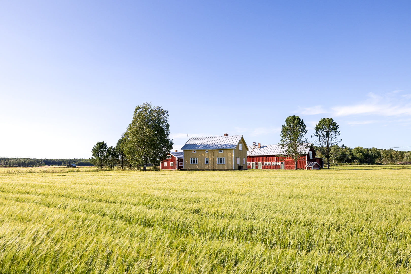 <b>Vr, Larvvgen 309</b>
10,3 ha. Egnahemshus, ekonomibyggnad och kermark. Anbud senast 15.9.2025.
